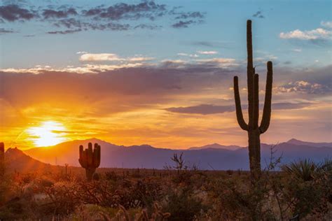 "Arizona Sunrise" Images – Browse 230 Stock Photos, Vectors, and Video | Adobe Stock