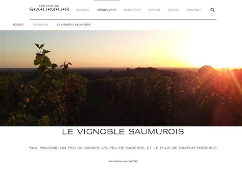 Website Creation For Vineyards, Wines & Spirits | Hotel Web-Design