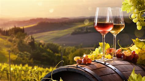 How Italian Wine Differs By Geographical Region