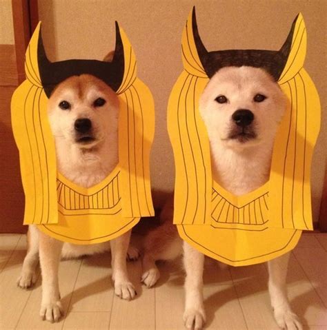 14 Funny Shiba Inu Costumes to Win at Halloween | Page 2 of 3 | PetPress