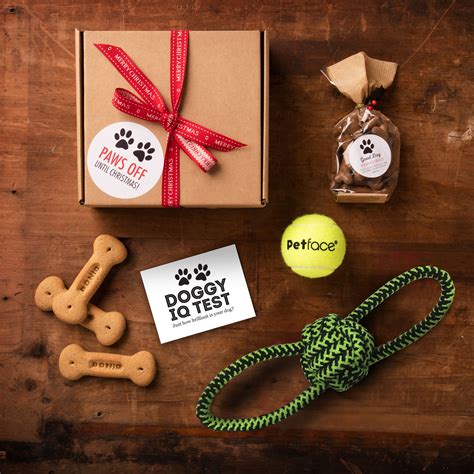 Dog Christmas Eve Box / Day Activity Gift Box | Dog gift box, Dog ...