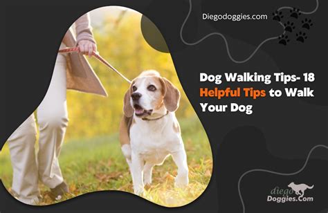 Dog Walking Tips- 18 helpful tips to Walk Your Dog