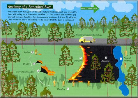 Anatomy of a prescribed fire - Wildfire Today