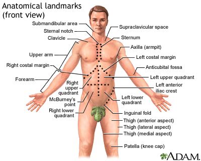 Abdominal mass Information | Mount Sinai - New York