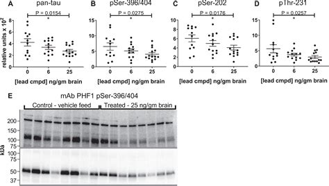 In Vivo Validation of a Small Molecule Inhibitor of Tau Self ...