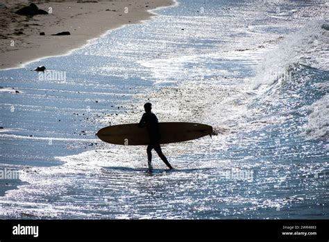 Surfing at sunset Beach in Pacific Palisades, California, USA Stock ...