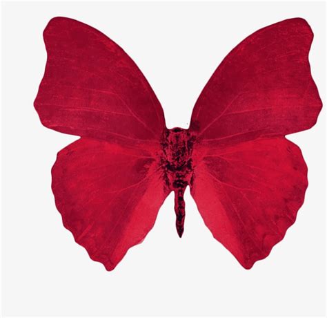 Scarlet Butterfly - Red Aesthetic Transparent Background PNG Image ...