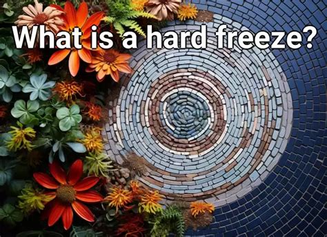 What is a hard freeze? – Gardening.Gov.Capital