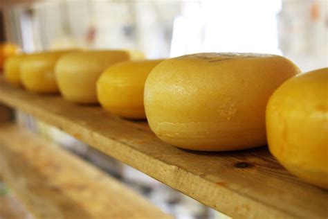 Cheese On Shelf Free Stock Photo - Public Domain Pictures