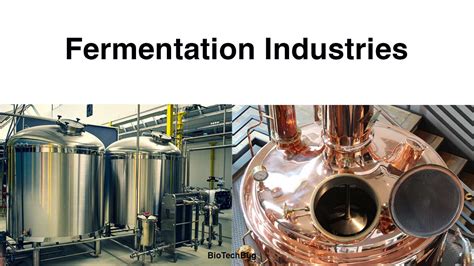 Overview of Fermentation Industries