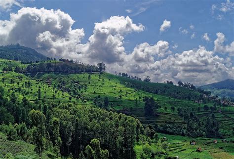 What You Should Know Before Visiting Nilgiris?