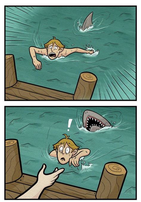 Shark Attack III | Shark attack, College humor, Funny