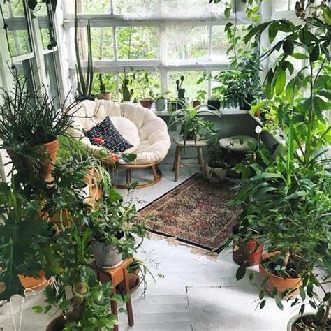 Outdoor Balcony Plant Ideas! - The Jungle Collective