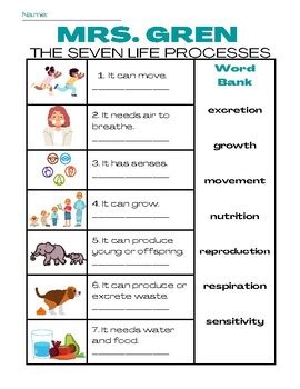 Living / Non-living Things MRS GREN:The Seven Life Processes of Living Things WS