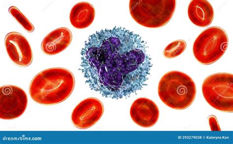 A 3D Illustration Revealing the Intricate Inner Structure of a Monocyte ...