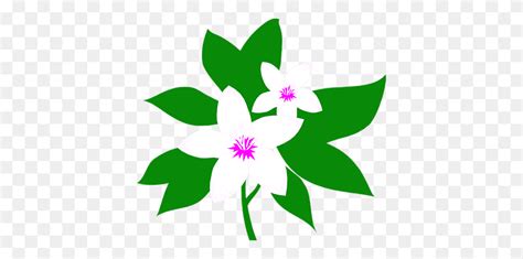 Louisiana State Flower - Louisiana State Clipart - FlyClipart