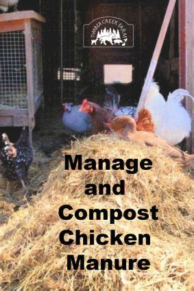 Managing and Composting Chicken Manure - Timber Creek Farm