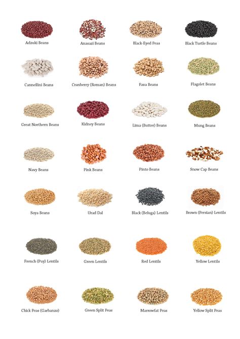 How to Cook Dried Legumes - A Guide to Cooking Legumes from Scratch