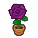 ACNH Purple-rose Plant For Sale - Buy Animal Crossing Purple-rose Plant On MTMMO.COM