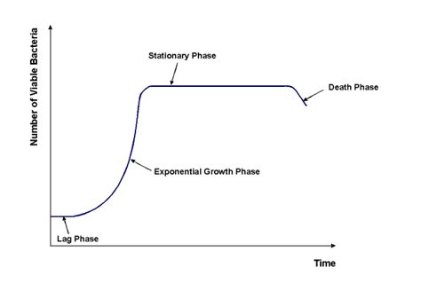 Bacterial Growth Curves using a Spectrophotometer (Turbidimetric Determination)