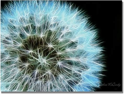 Framed Dandelion Photograph, Ready to Hang Fine Art Macro Photography ...