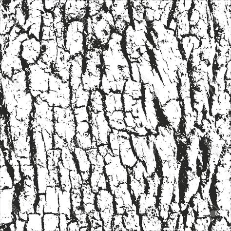 Tree Bark Texture Drawing at PaintingValley.com | Explore collection of ...