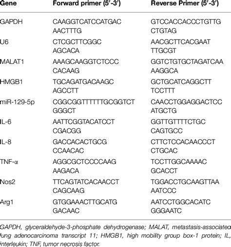 The sequence of primers (human) used for quantitative real-time PCR. | Download Scientific Diagram