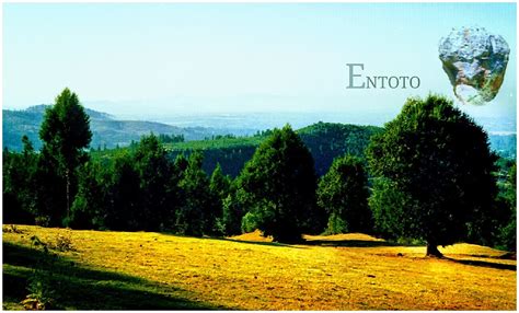 Entoto Natural Park