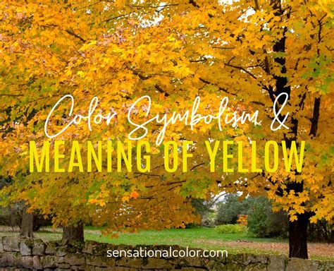 Meaning Of Yellow: Color Psychology And Symbolism - Sensational Color