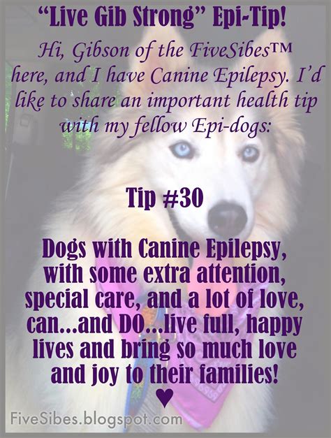 Epilepsy Awareness Quotes. QuotesGram