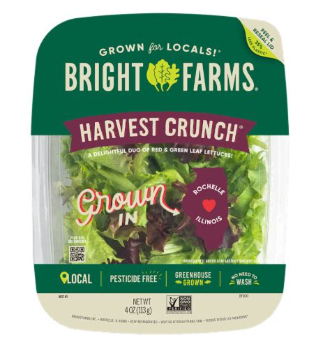 BrightFarms® Harvest Crunch Lettuce, 4 oz - Harris Teeter