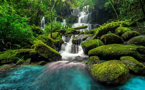 Beautiful Waterfall In Green Forest Wallpaper - High Quality Beautiful ...