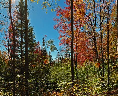 Fall Colors Along the North Country National Scenic Trail | Flickr