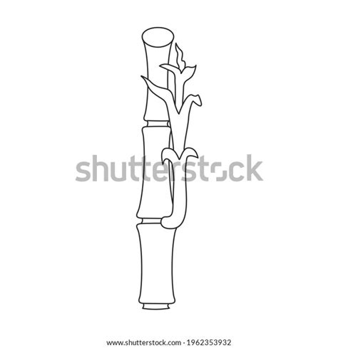 Bamboo Vector Outline Icon Vector Illustration Stock Vector (Royalty Free) 1962353932 | Shutterstock