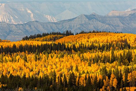 Grand Mesa Fall Colors | Expedition Portal