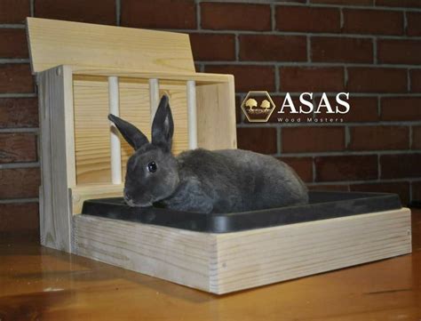 Bunny Rabbit Hay Feeder With Litter Box / SMALL | Litter box, Hay feeder, Rabbit hay