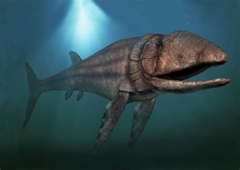 Leedsichthys Skeleton