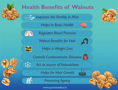 Details more than 146 walnut benefits for hair super hot - camera.edu.vn