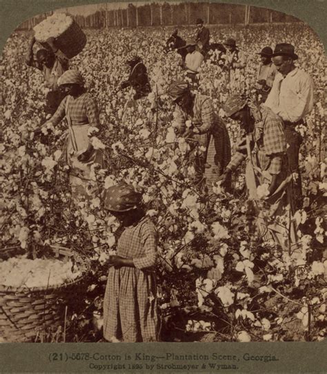 Slavery and King Cotton – US History I: Precolonial to Gilded Age