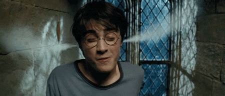 Harry Potter GIF - Find & Share on GIPHY