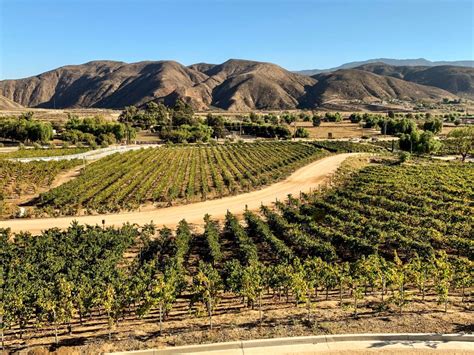 The Best Wine Tour of California’s Temecula Valley