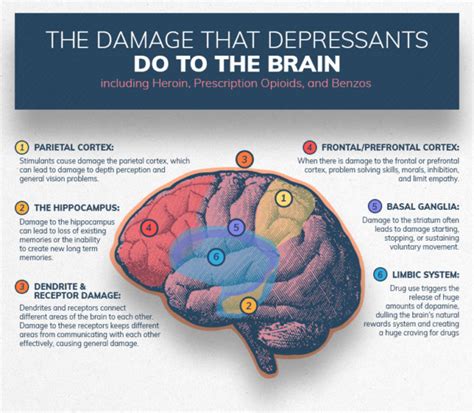 Infographics show the damage substance abuse can do to the brain - Info ...