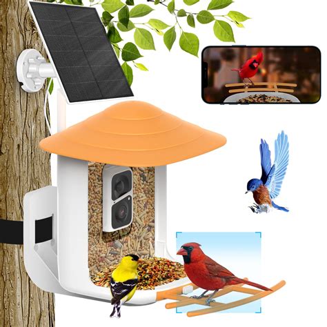 SOLIOM® BF09-Bird Feeder with Camera Wireless Outdoor,Auto Record Bird ...