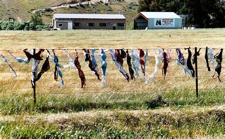 The Cardrona Bra Fence of New Zealand | Amusing Planet