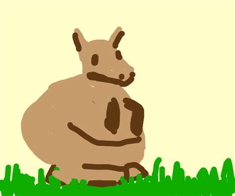 Fat Kangaroo - Drawception