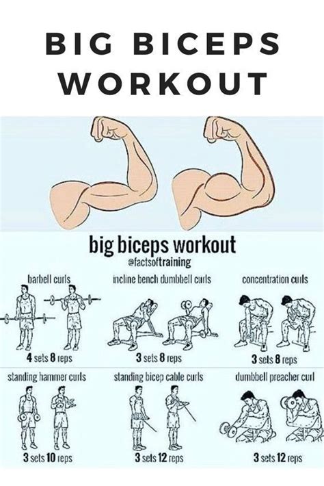 Dumbbell Bicep Workout: Your Ultimate Guide! - Shredded Lifestyle#bicep #dumbbell #guide # ...