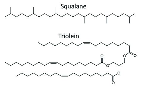 Chemical structures of the oils squalane and triolein. | Download ...