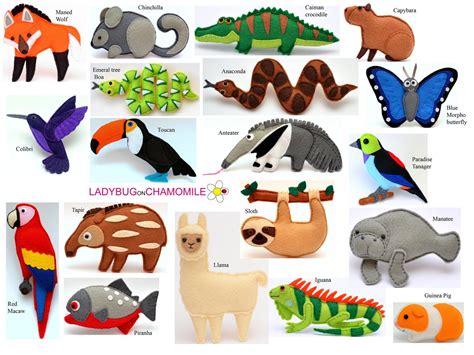 AMAZON RAINFOREST ANIMALS Felt Toys, Ornaments,magnets - Etsy | Felt ...