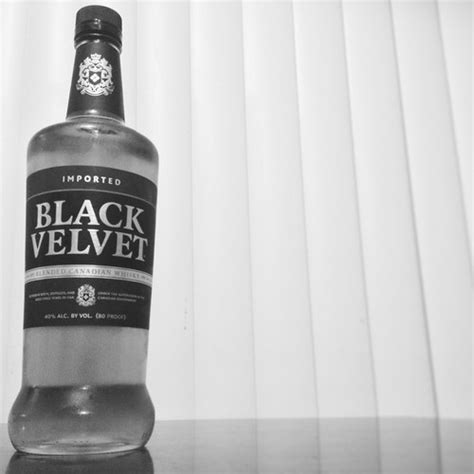 Black Velvet | Bottle | Jordan Miller | Propagandaphoto.net | Flickr
