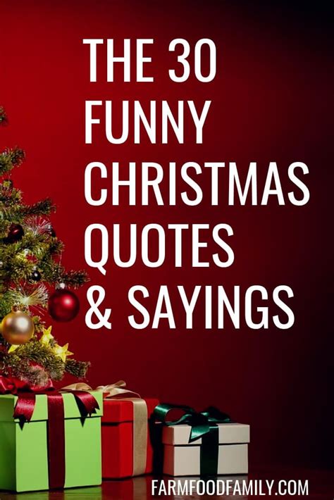 30+ Funny Christmas Quotes & Sayings That Make You Laugh | Christmas quotes funny, Holiday ...